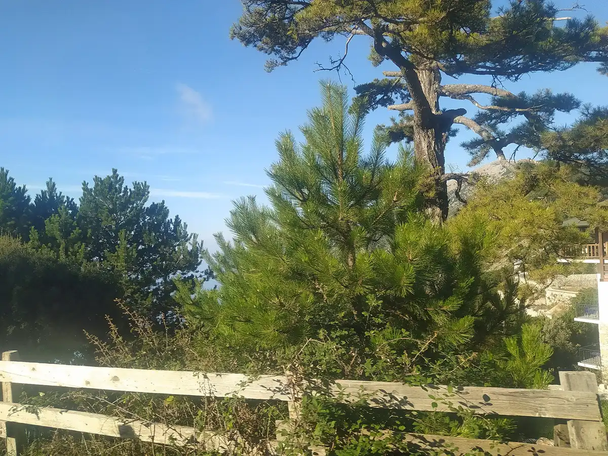 Pishat dhe gardhi prej druri në Parkun Kombëtar të Llogarasë