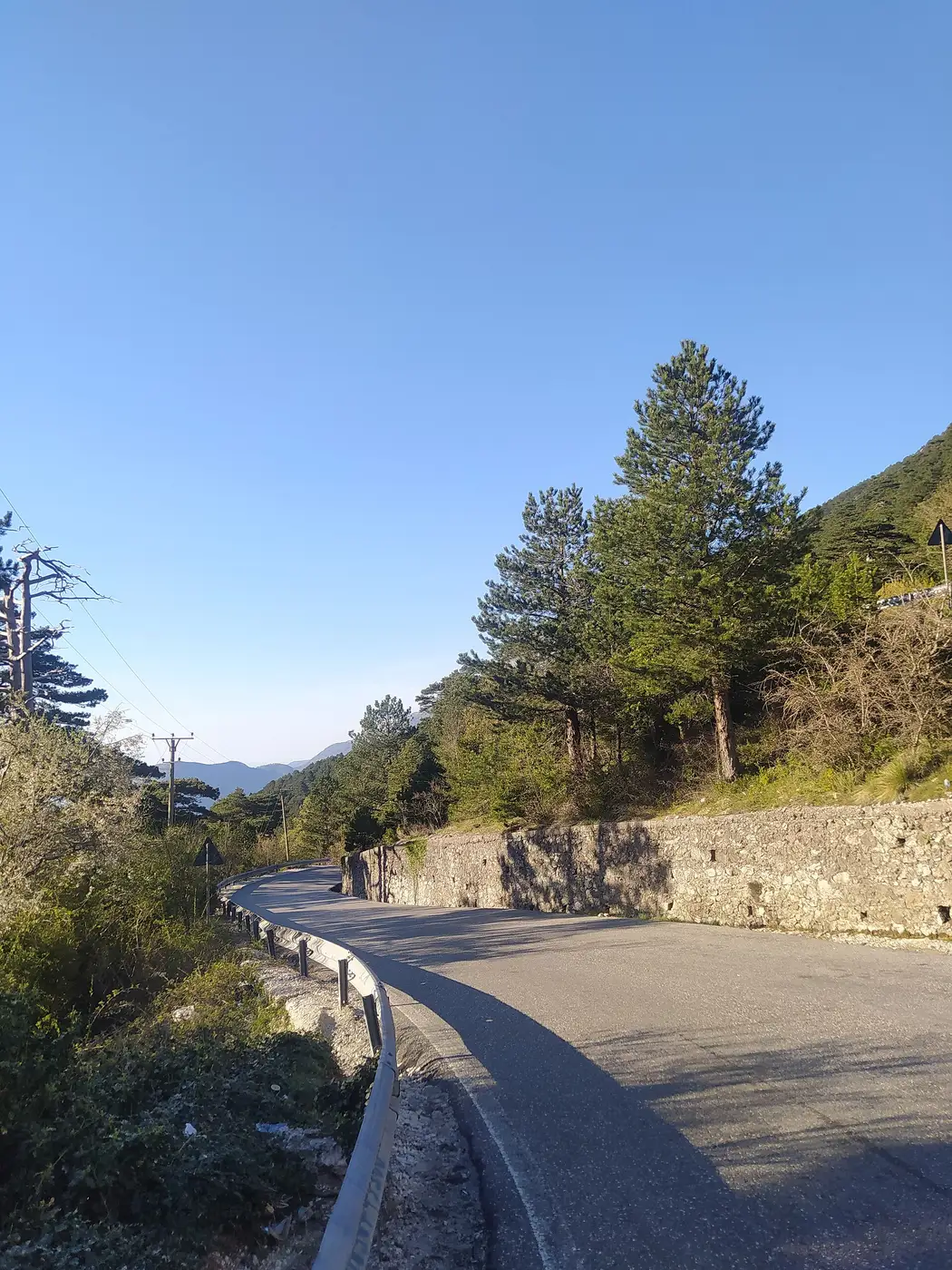 Rruga mes pishave në Parkun Kombëtar të Llogarasë
