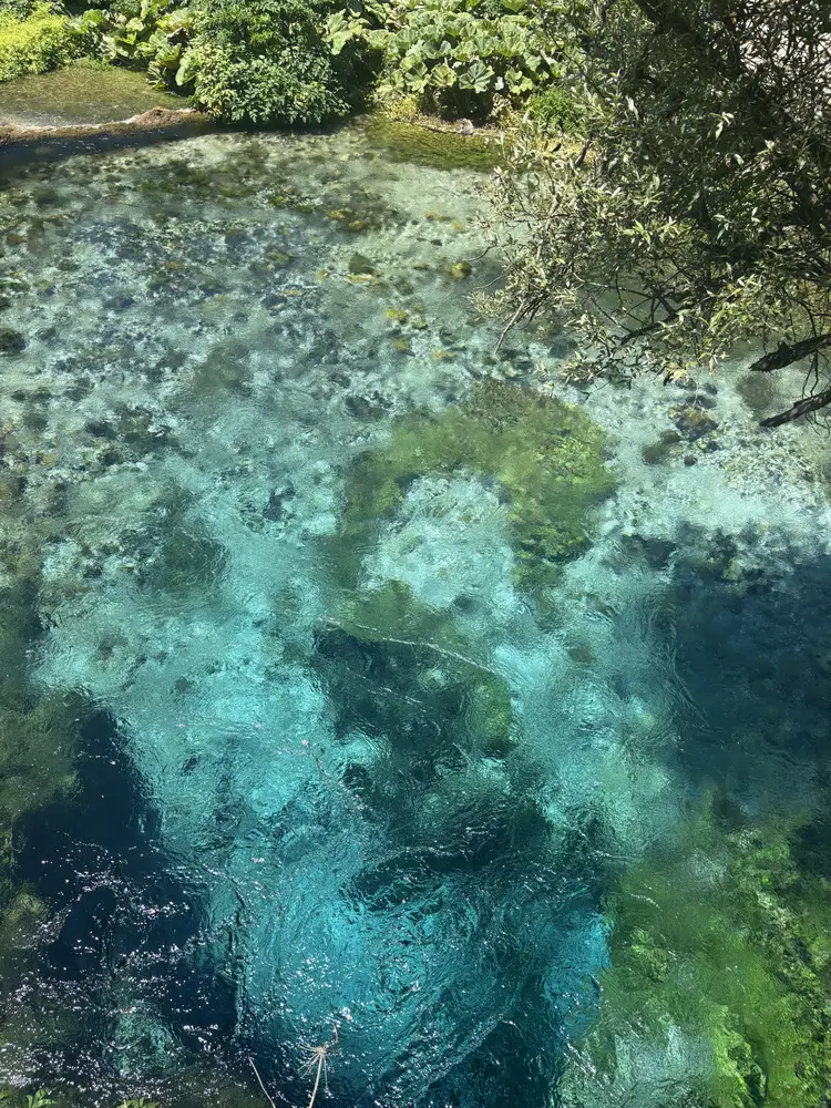Syri i Kaltër, burimi karstik pranë Muzinës
