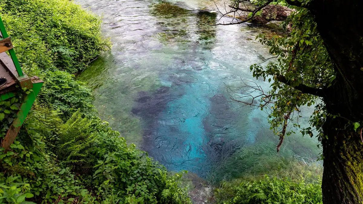 Syri i Kaltër dhe pylli përreth, panoramë