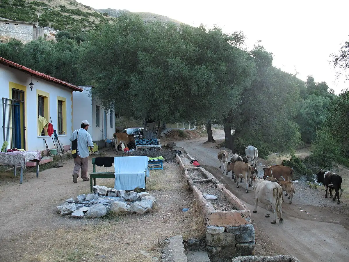 Mëngjes në Vuno, shtëpitë prej guri mbi shpat